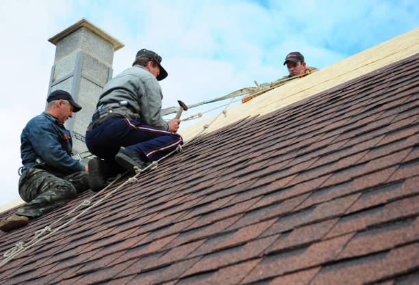 Best Roof Gutter Cleaning  in Crosspointe, VA