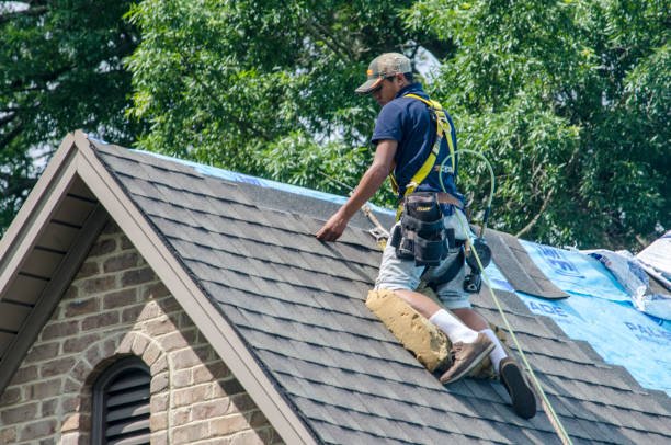 Best Roof Maintenance Services  in Crosspointe, VA